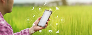 greenfield groves, lindsay giguiere, 10 agribusiness trends for 2020 we are already doing