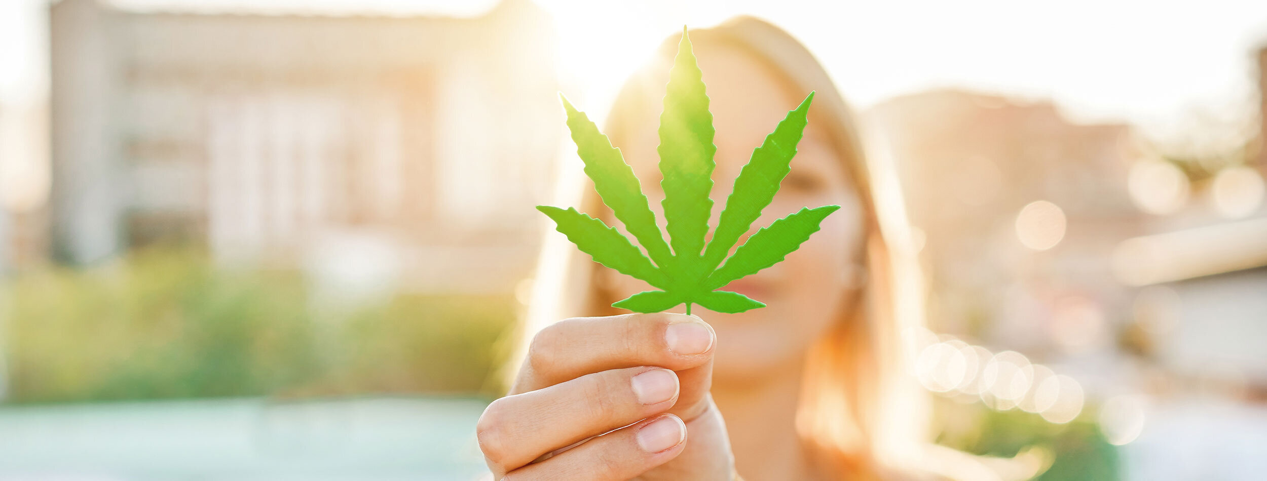 greenfield groves, lindsay giguiere, cbd craze why is it everywhere