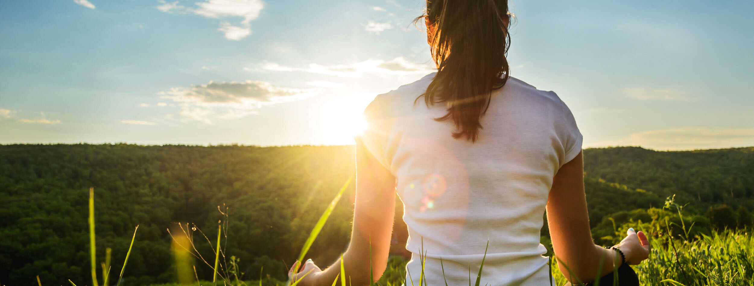greenfield groves, lindsay giguiere, global wellness trends