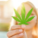 greenfield groves, lindsay giguiere, cbd craze why is it everywhere